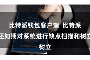 比特派钱包客户端 比特派还如期对系统进行缺点扫描和树立