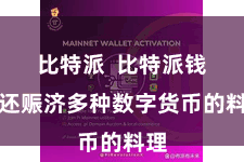 比特派  比特派钱包还赈济多种数字货币的料理