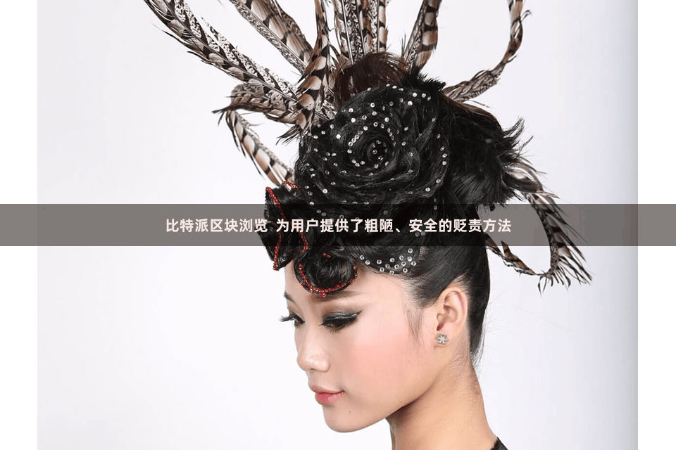 比特派区块浏览  为用户提供了粗陋、安全的贬责方法